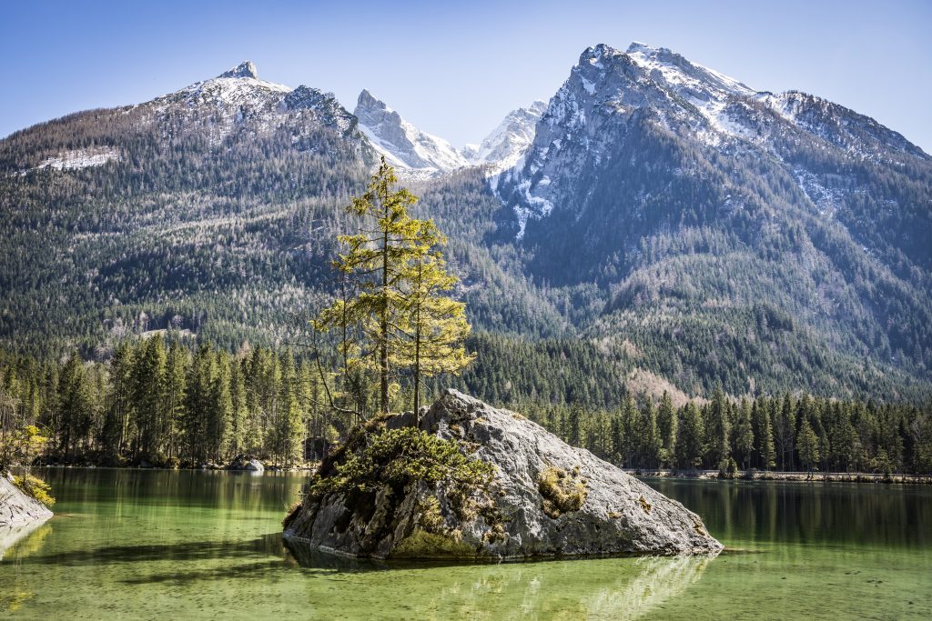 Hintersee Frühling