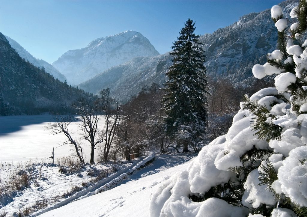 Thumsee